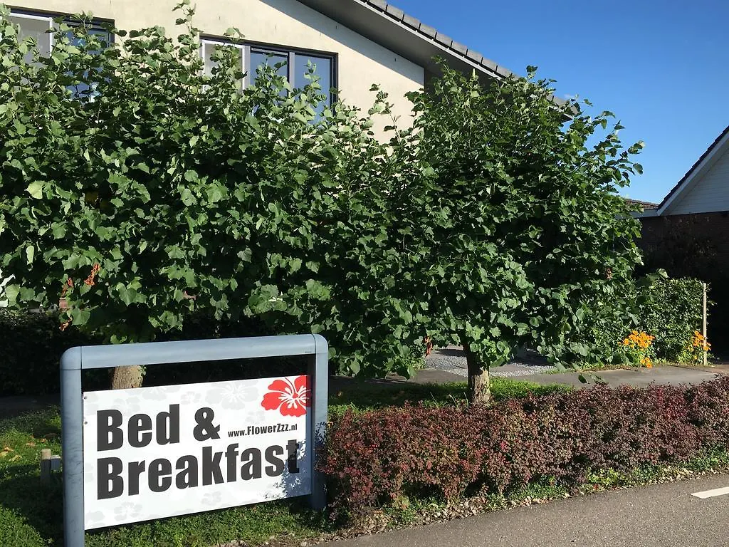 Bed & Breakfast Flowerzzz... Rotterdam Nederland